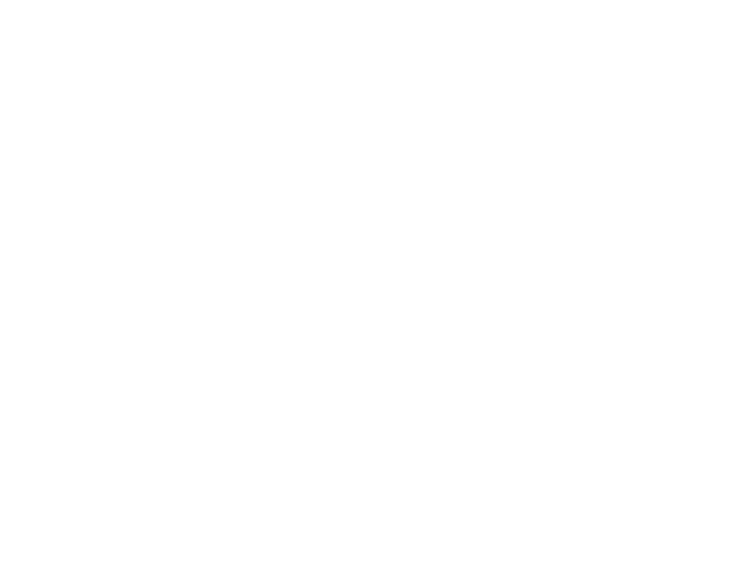 BAu Interactive